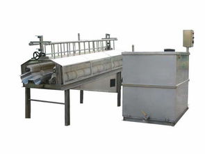 河北多功能清洗機(jī)引領(lǐng)蔬菜機(jī)械加工廠智能化升級